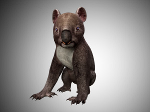 koala 3D Model