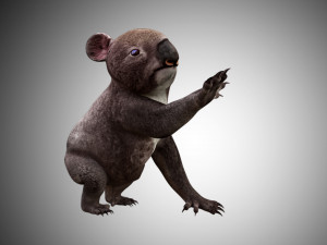 koala 3D Model
