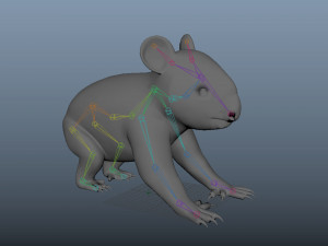 koala 3D Model