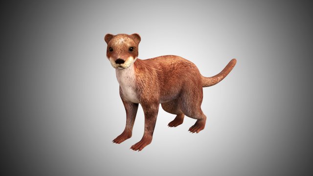 otter low poly rigged 3D मॉडल .c4d .max .obj .3ds .fbx .stl .blend 