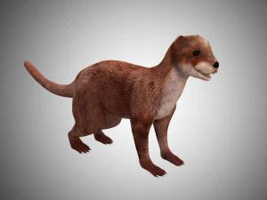 otter low poly rigged 3D Model