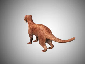 otter low poly rigged 3D Model