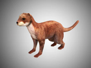 otter low poly rigged 3D Model