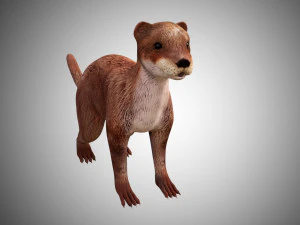 otter low poly rigged 3D Model