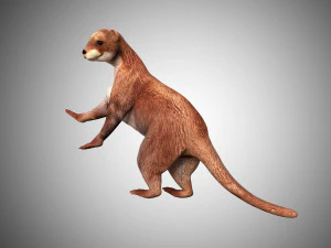 otter low poly rigged 3D Model