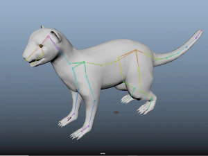 otter low poly rigged 3D Model