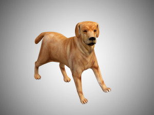 labrador dog low poly rigged 3Dモデル