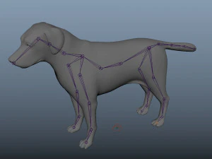 labrador dog low poly rigged 3D Model