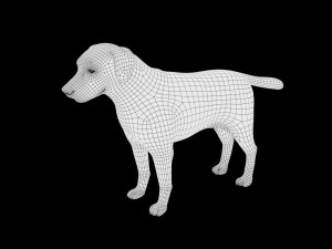 labrador dog low poly rigged 3Dモデル