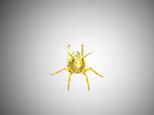 grasshopper low poly rigged Modèle 3D