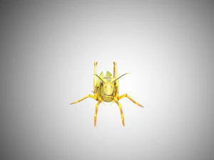 grasshopper low poly rigged 3D Model
