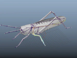 grasshopper low poly rigged 3D Model