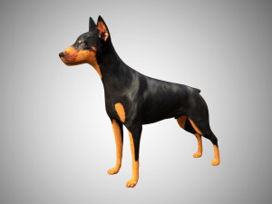 doberman low poly rigged 3D Model