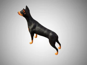 doberman low poly rigged 3D Model