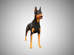 doberman low poly rigged Modello 3D