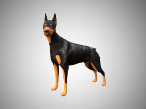 doberman low poly rigged Modello 3D