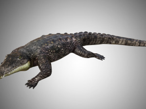 Alligator Lopper Saw Black and Decker 3D Model $79 - .ma .obj .lwo .3ds  .max .c4d - Free3D
