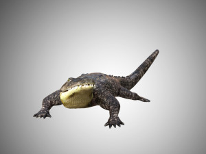crocodile alligator low poly rigged Modelo 3D