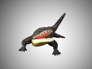 crocodile alligator low poly rigged Modelo 3D