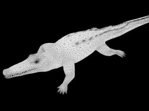 crocodile alligator low poly rigged Modelo 3D