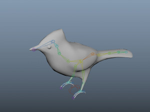 bluejay low poly rigged Modelo 3D