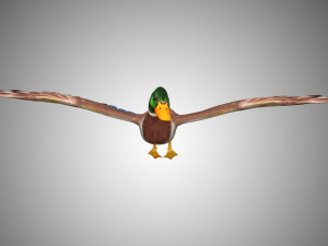 mallard low poly rigged Modelo 3D