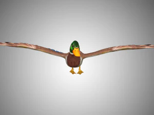 mallard low poly rigged 3D Model