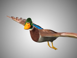 mallard low poly rigged Modelo 3D