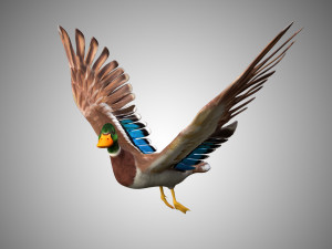 mallard low poly rigged Modelo 3D