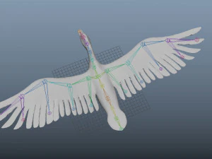 mallard low poly rigged 3D Model