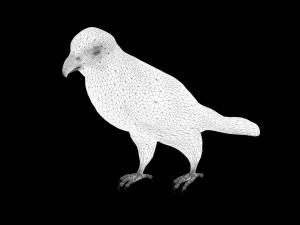 hawk low poly rigged 3D Model
