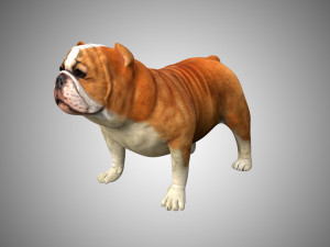 bulldog low poly rigged 3D Модель