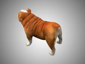 bulldog low poly rigged 3D Model