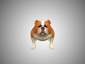 bulldog low poly rigged 3D Модель