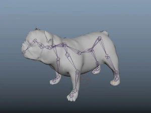 bulldog low poly rigged 3D Model