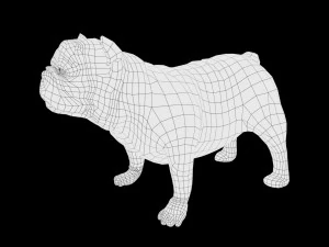 bulldog low poly rigged 3D Model