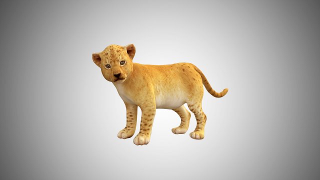 lion cub baby low poly rigged Modelo 3D .c4d .max .obj .3ds .fbx .stl .blend 