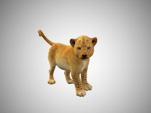 lion cub baby low poly rigged Modelo 3D