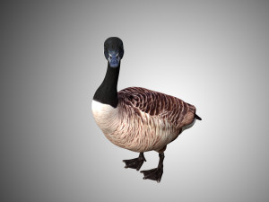 goose low poly rigged 3D Модель