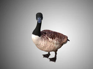goose low poly rigged 3D Model