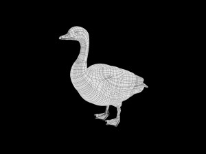 goose low poly rigged 3D Модель