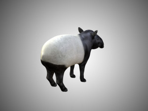 tapir low poly rigged 3D Model
