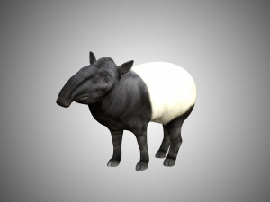 tapir low poly rigged 3D Model