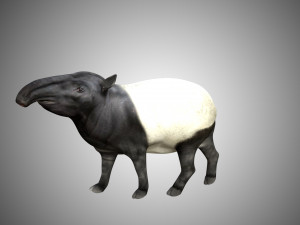 tapir low poly rigged 3D Model