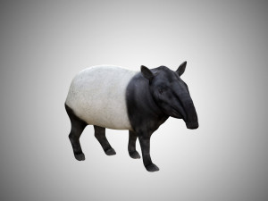 tapir low poly rigged 3D Model