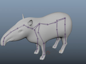 tapir low poly rigged 3D Model