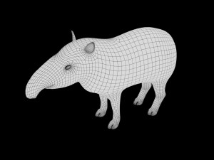 tapir low poly rigged 3D Model