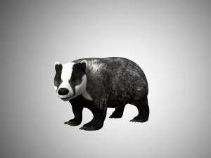 badger low poly rigged 3D Model