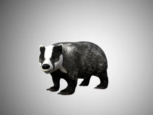 badger low poly rigged 3D Model