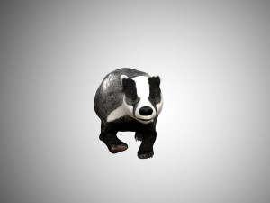 badger low poly rigged 3D Model